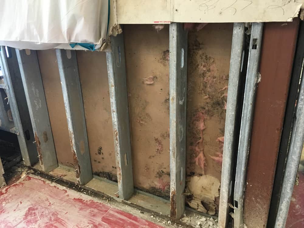 mold remediation for a section of sheetrock removed from wall revealing mold.