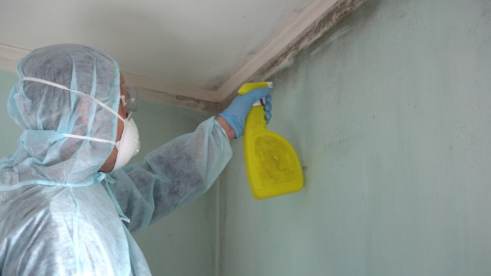 Man in protective suit sprays mold