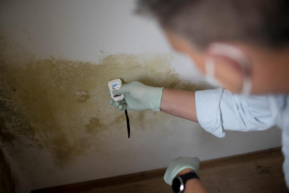 professional testing mold on a house wall.
