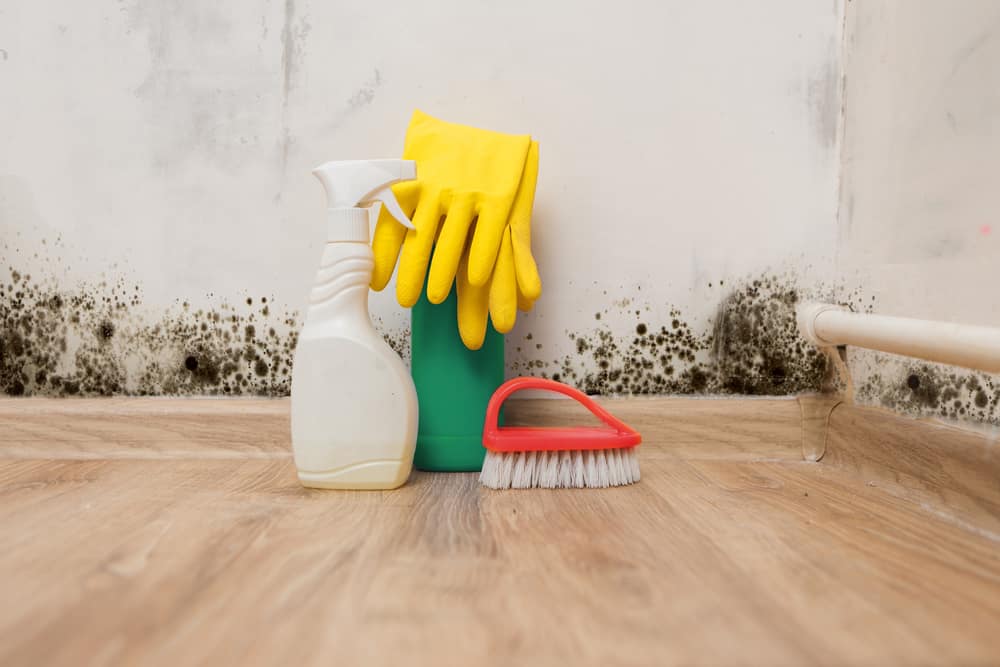 Spray bottle, gloves and scrub brush in front of moldy wall