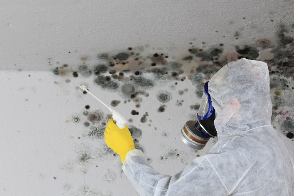 man removing mold wearing suit and respirator
