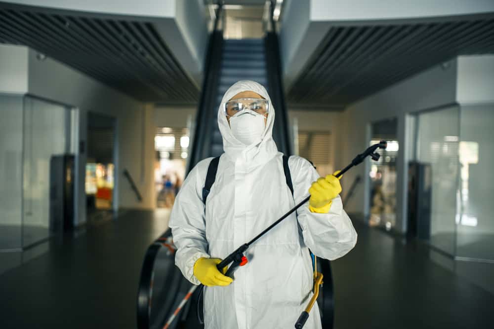 mold removal palm beach