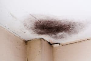 water remediation glen ridge