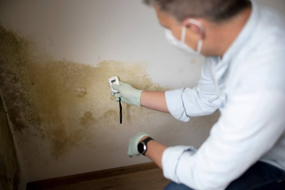 In Palm Beach County, a person wearing gloves and a mask is testing a moldy wall with a moisture meter. Focused on water damage restoration, they hold the device against the stained wall, ensuring accurate moisture level readings for effective water mitigation services.