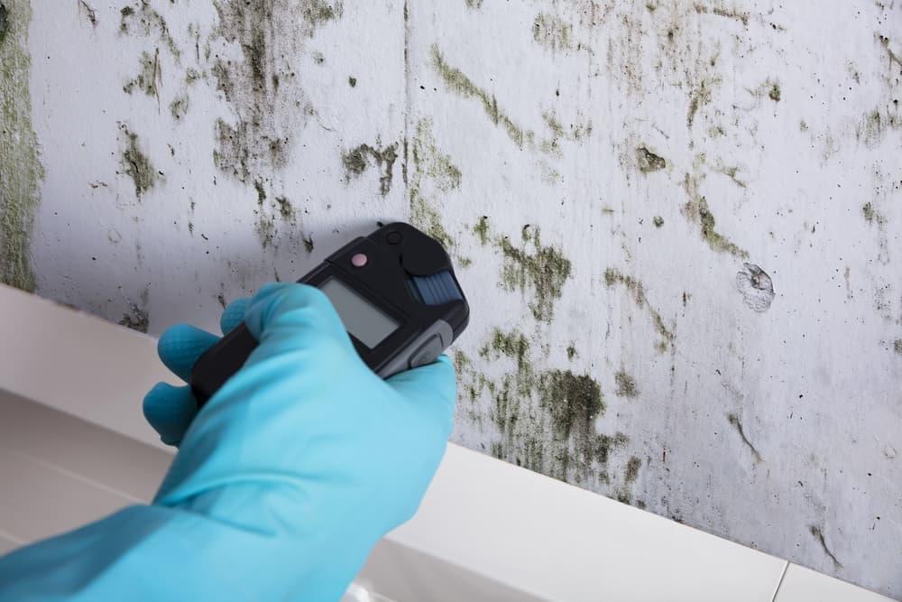 Mold Inspection and Mold Testing with a tool SuperClean Restoration Palm Beach