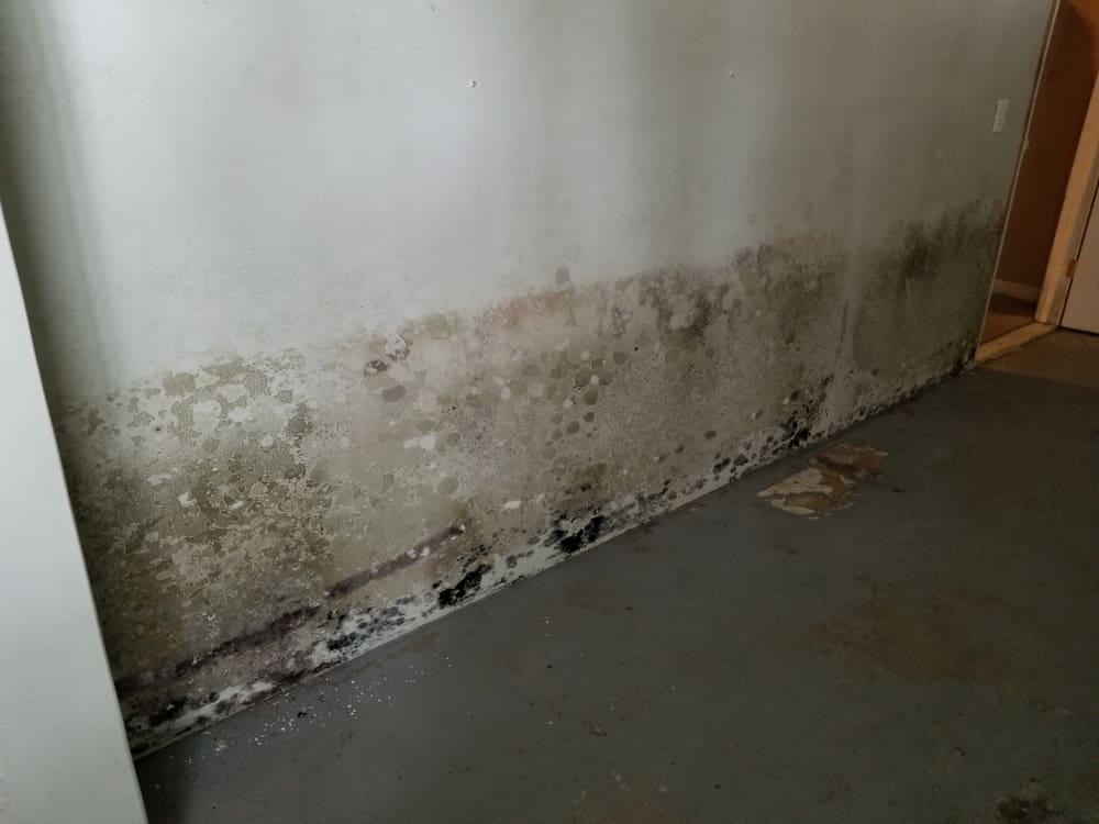Basement Water Damage