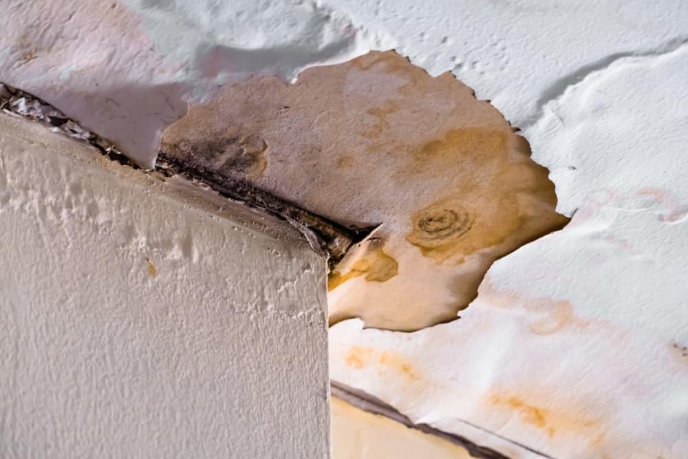 water cleanup services lake park