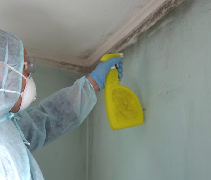 Man in protective suit sprays mold